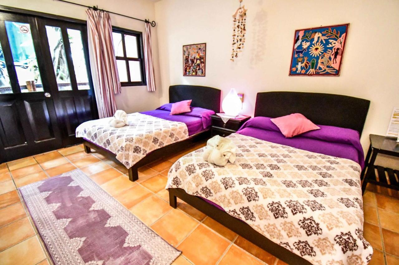 Apartahotel Casa Freud *