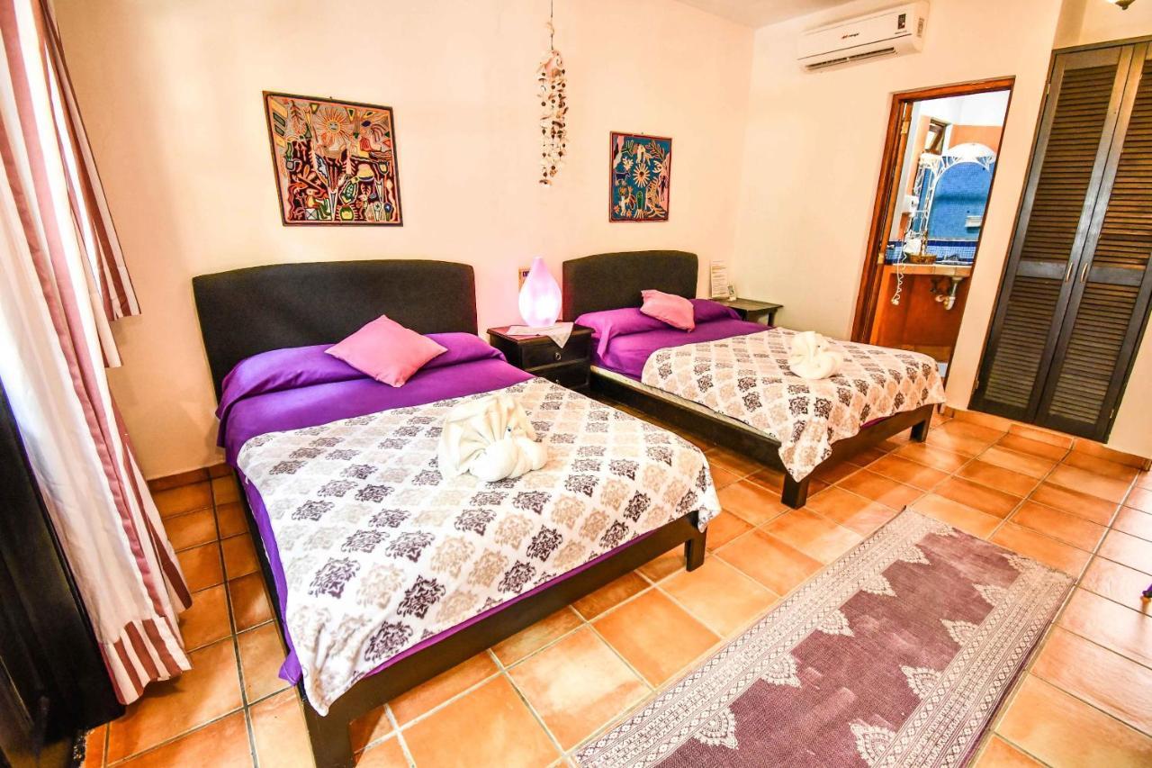Apartahotel Casa Freud *