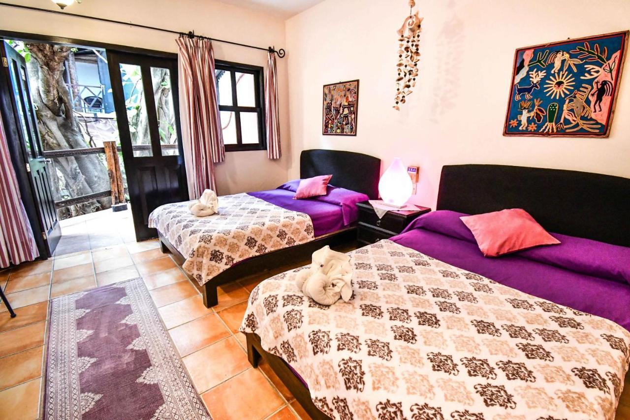 Apartahotel Casa Freud *
